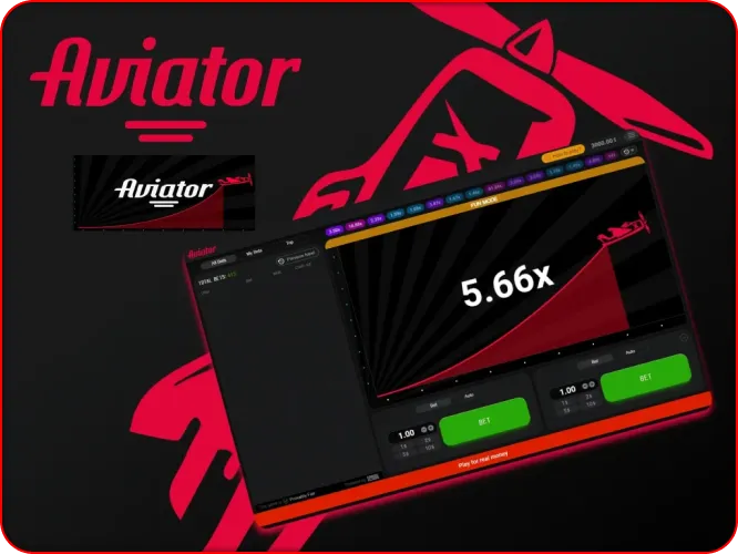 Pin Up Aviator Interface